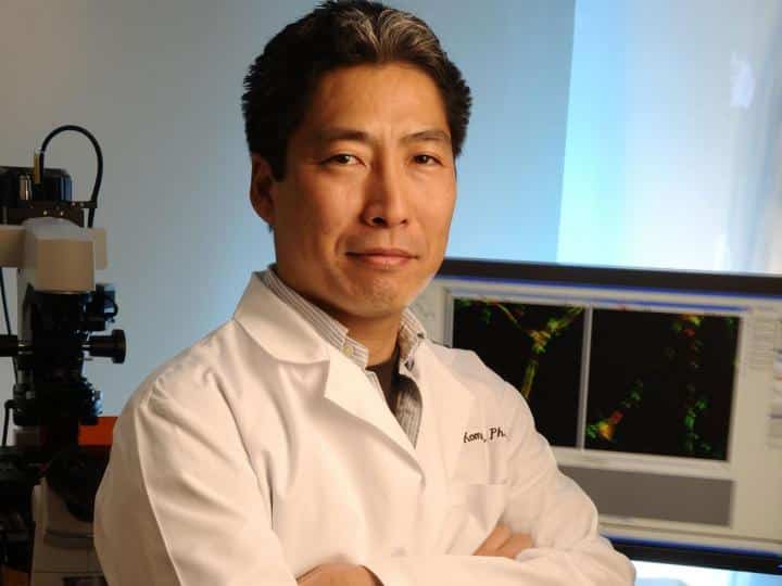 New Study Provides Insights into Regeneration of Blood Vessels