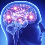 PhD Neuroscience Research Job