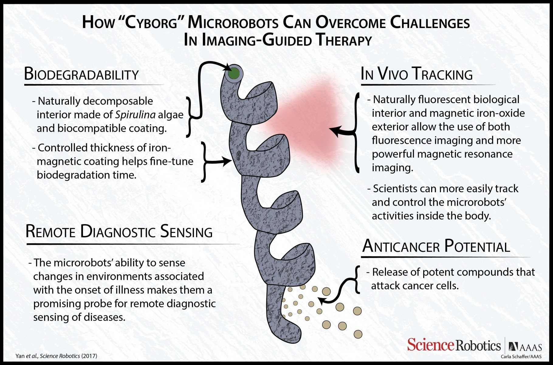 Remote-Controlled Bio Nanobots to Study You from the Inside