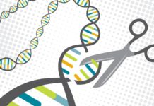BioTherapeutics licenses New CRISPR-Cas Gene Editing Technology
