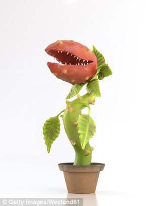 DARPA to Bioengineer Plants, Turning them into Spies