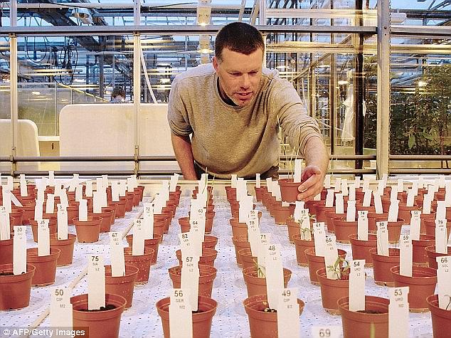 Earthworms Found Thriving, Proliferating In Martian Soil