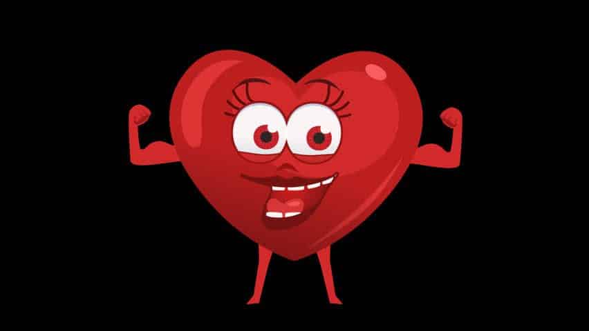 Researchers found The Protein that “Rules” our Hearts: Titin