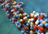 More Efficient Editing with Non-Viral CRISPR-Carrying Nanoparticles