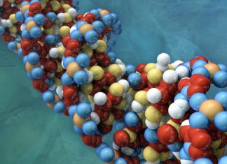More Efficient Editing with Non-Viral CRISPR-Carrying Nanoparticles More Efficient Editing with Non-Viral CRISPR-Carrying Nanoparticles