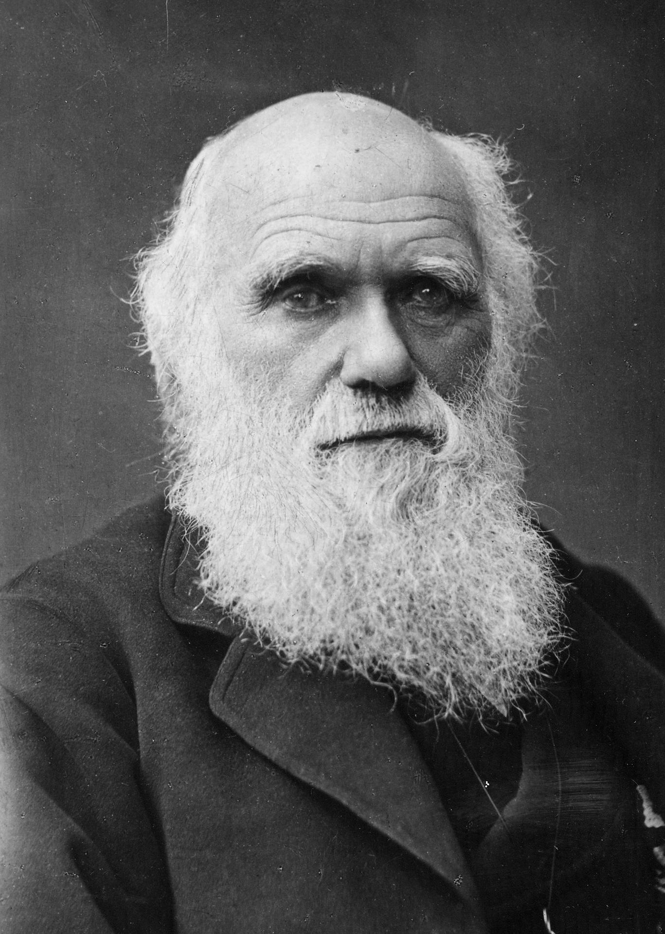 A Revolutionary “Evolution Machine” is Rewriting the Rules of Evolution