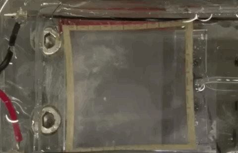 Engineer Heart Patch Capable of Undoing Damage to Cardiac Muscles