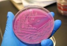 A Kill Switch for Microbes Gone Rogue A Kill Switch for Microbes Gone Rogue- Latest Research