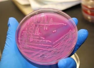 A Kill Switch for Microbes Gone Rogue A Kill Switch for Microbes Gone Rogue- Latest Research