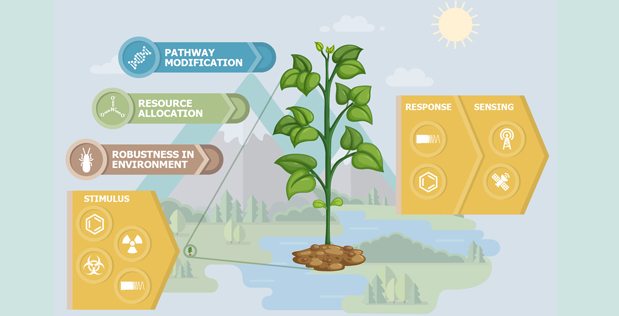 DARPA to Bioengineer Plants, Turning them into Spies