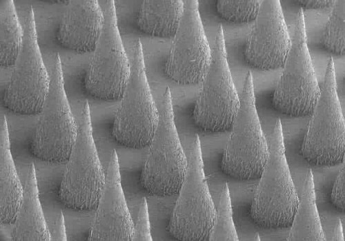 “Smart” Synthetic Beta Cells That Automatically Release Insulin