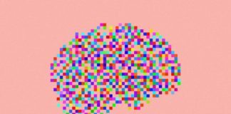 Bio-Injectable that Promotes Neuron, Blood Vessels Growth in Damaged Brains