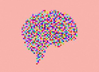 Bio-Injectable that Promotes Neuron, Blood Vessels Growth in Damaged Brains Developed Bio-Injectable that Promotes Neuron, Blood Vessels Growth in Damaged Brains