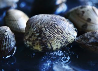 Scientists Use eDNA Tool to Track Invasive Clams