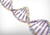 DVD Optics to Map CRISPR/Cas9-Labeled DNA- Latest News Research Assistant Post for MSc Candidates @ IISER Kolkata