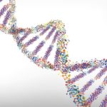 Research Assistant Post for MSc Candidates @ IISER Kolkata