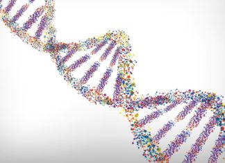 DVD Optics to Map CRISPR/Cas9-Labeled DNA- Latest News Research Assistant Post for MSc Candidates @ IISER Kolkata