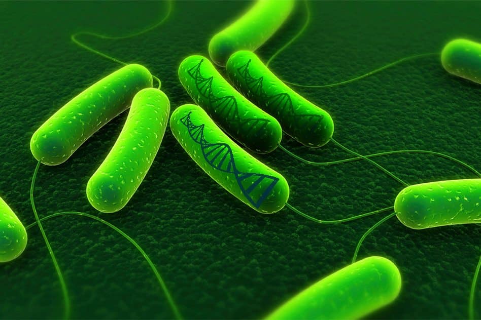 The World’s Smallest Tape Recorder is Here- Built Using Bacterial Cells!