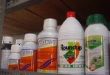 Comprehensive Study Concludes No Link between Pesticide Glyphosate and Cancer