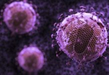 NIH Reports Single Dose HIV-Resisting Vaccine Success