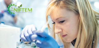 SRF Vacancy @ NIFTEM