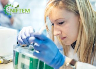 SRF Vacancy @ NIFTEM