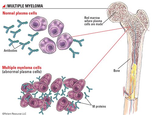 Correlation between Cancer Cell Mass and Chemo Susceptibility