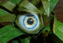 DARPA to Bioengineer Plants, Turning them into Spies