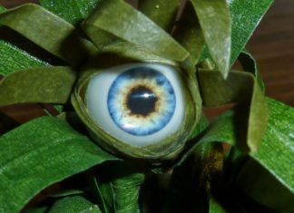 DARPA to Bioengineer Plants, Turning them into Spies