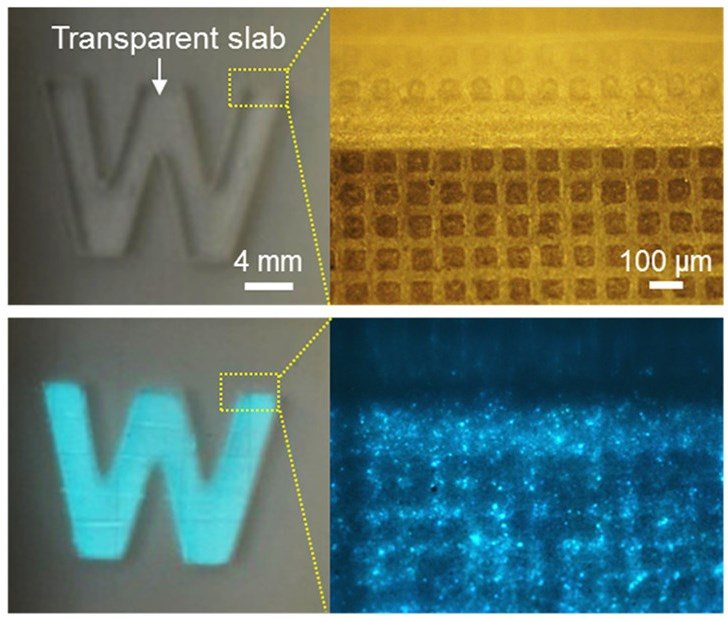 Jellyfish-Inspired Robotic Skin Senses Pain, Expresses It by Glowing