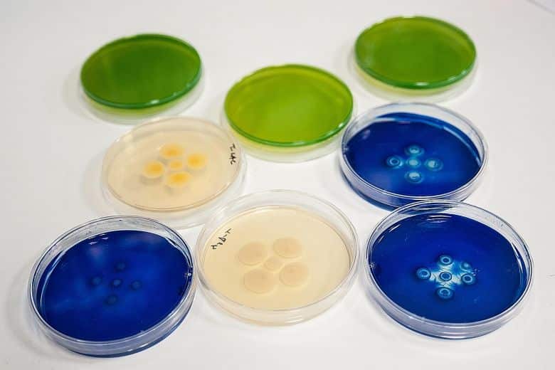 New Molecules Capable Of Destroying Resistance to Antibiotics