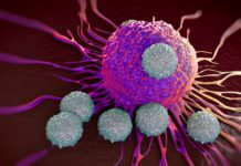 Exploring the Correlation between Cancer Cell Mass and Chemo Susceptibility