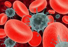 Roche’s Rare Blood Cancer Drug Gets Approved by the FDA