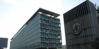 WHO Urges Caution Over the Use Of Antibiotics In Healthy Animals