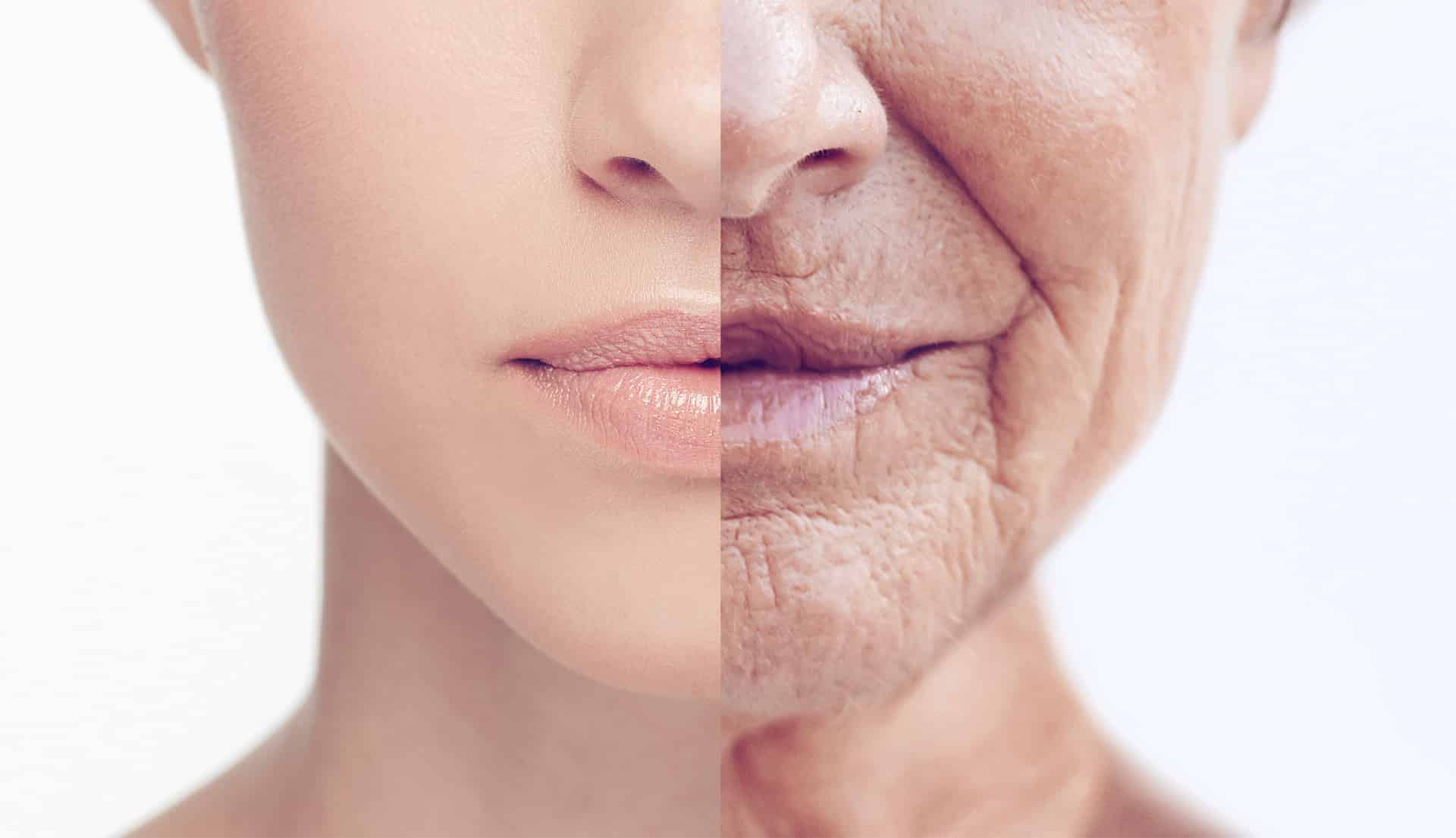 Scientists Run Calculations to Bust Immortality, Say Aging Is Inevitable