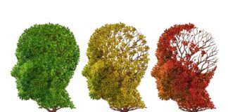 Alzheimer’s Disease Project Position @ National Chemical Laboratory