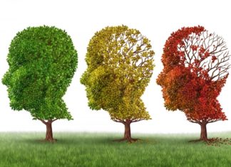 Alzheimer’s Disease Project Position @ National Chemical Laboratory