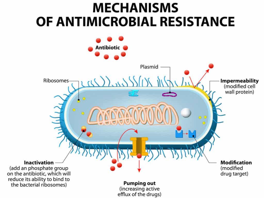 New Molecules Capable Of Destroying Resistance to Antibiotics
