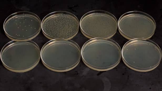 A Kill Switch for Microbes Gone Rogue- Latest Research