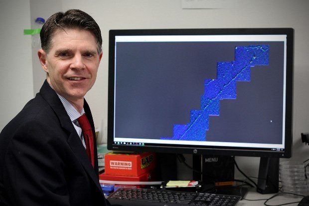 DVD Optics to Map CRISPR/Cas9-Labeled DNA- Latest News
