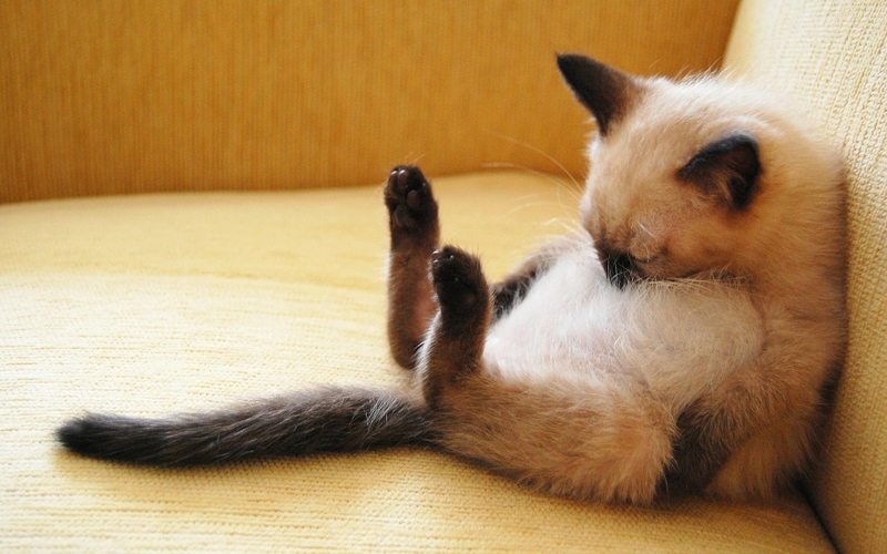 Feeling Spaced Out After Being Deprived of Sleep? Here’s Why