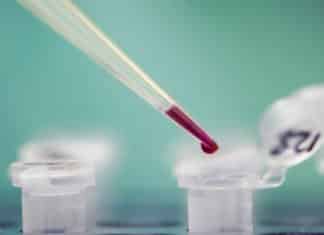 Philips Scores €6.3M Grant from EU for 4-year LIMA Project Philips Scores €6.3M Grant from EU for 4-year LIMA Project