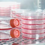 MSc Biology & Life Sciences Job Openings @ IISER Pune