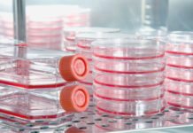 Researchers Develop Revolutionary Bioprocess Technique that Allows Continuous Production and Collection of Cells MSc Biology & Life Sciences Job Openings @ IISER Pune