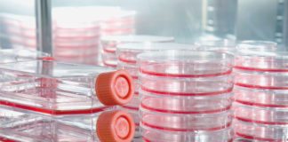 MSc Biology & Life Sciences Job Openings @ IISER Pune