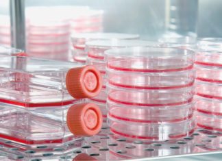 MSc Biology & Life Sciences Job Openings @ IISER Pune