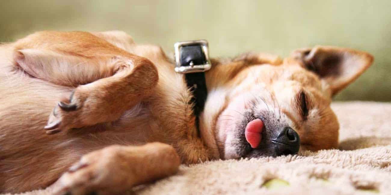 Feeling Spaced Out After Being Deprived of Sleep? Here’s Why