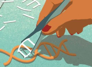 Novartis collaborates with Homology to Adapt Genome Editing Technology