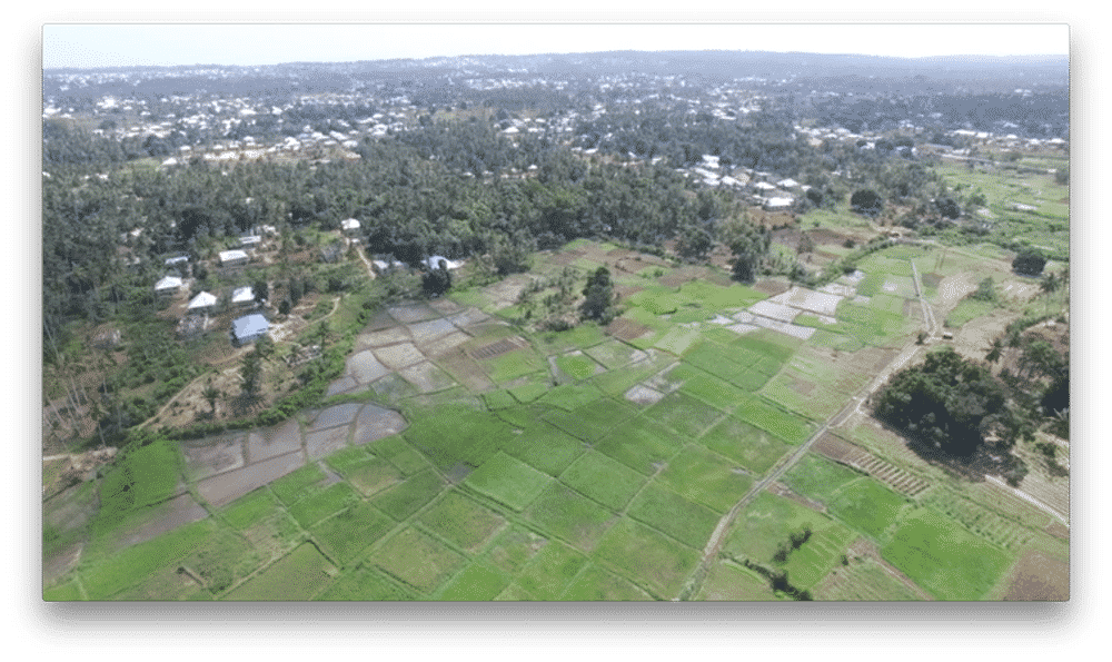 Vector Mapping and Surveillance Using Drones to Combat Malaria