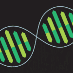 Biotech & Biochemistry Project Post